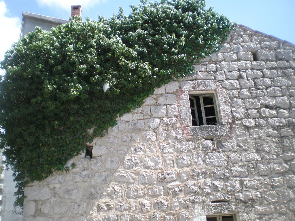 Villa Lidija Budva Pokój zdjęcie