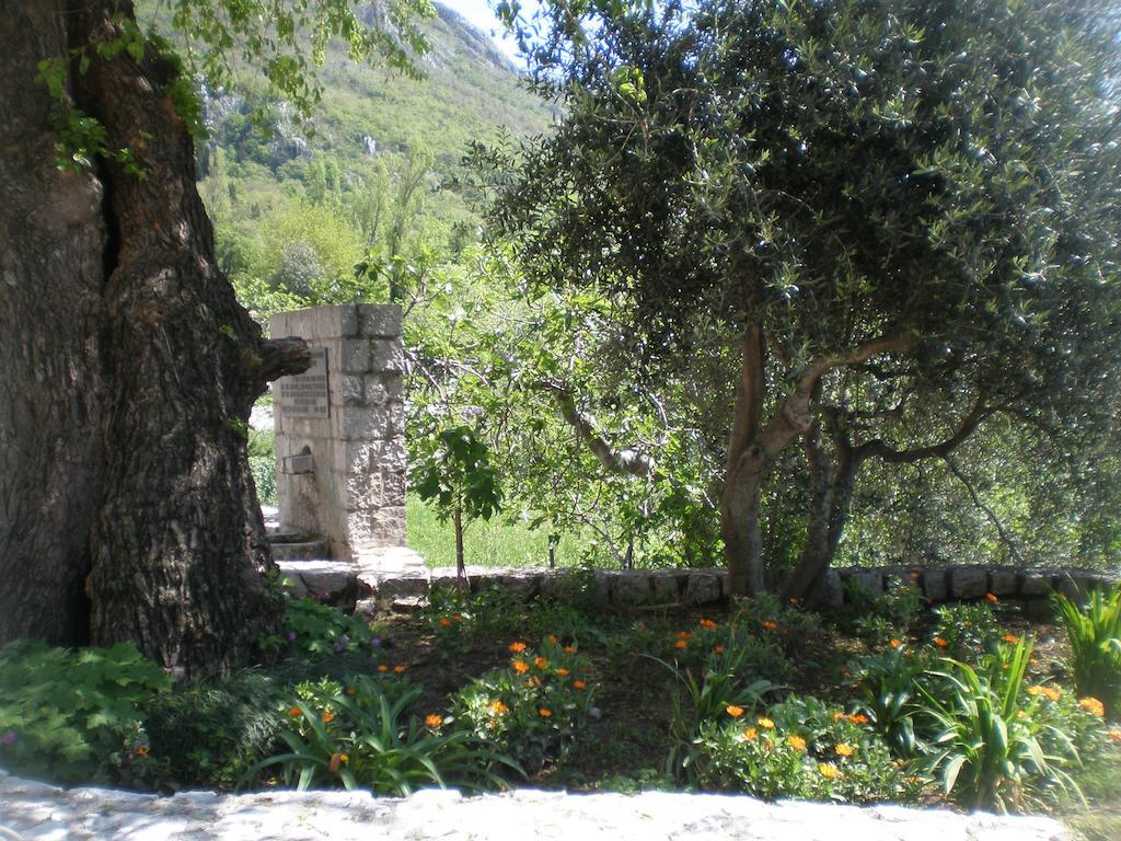Villa Lidija Budva Pokój zdjęcie